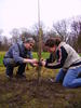March 07 planting 026